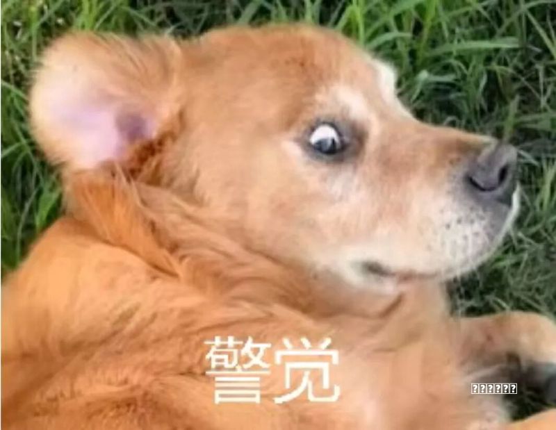 (2025年数据恢复大师都在用的这8款U盘数据恢复（免费+付费）)